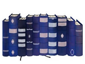 シュプリンガーネイチャー・ジャパン株式会社